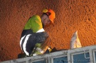 2010-02-19_13-26-03-sk-007.jpg