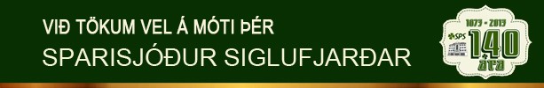 Spari�sj��urinn tekur vel � m�ti ��r