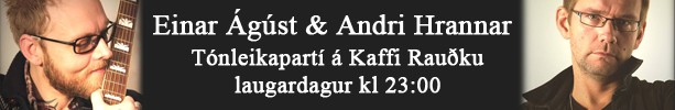 Andri Hrannar og Einar �g�st