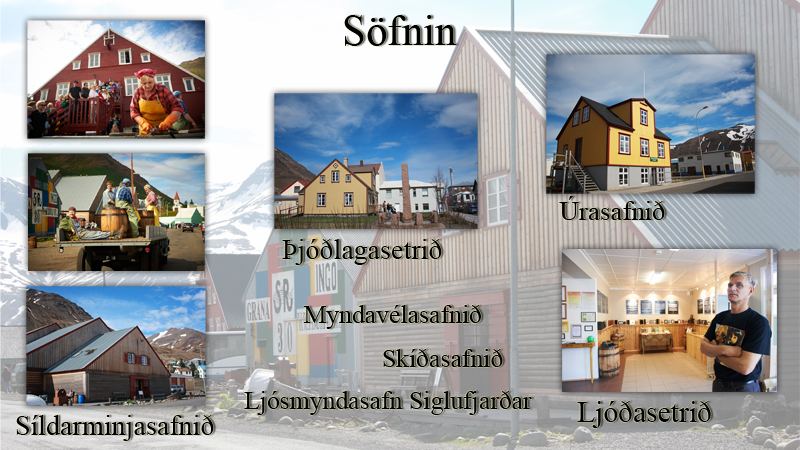 Ferðaþjónusta