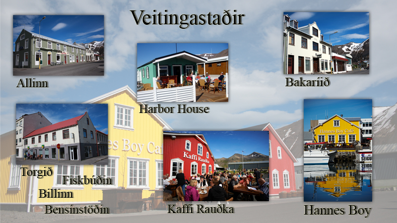 Ferðaþjónusta