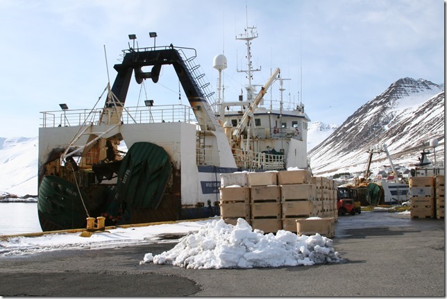 Hafnarrúnturinn
