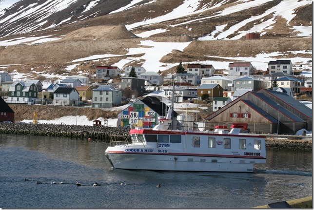 Hreiðar á bæjarrúntinum