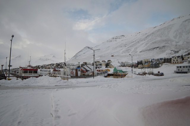 Góður dagur