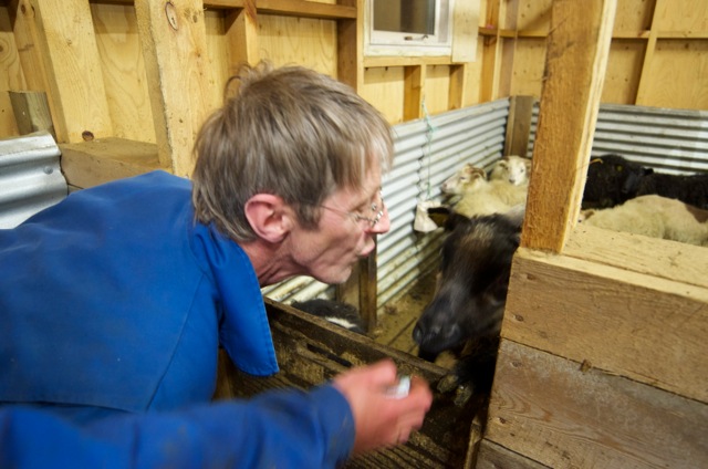 Halli að reyna að fá koss hjá Ólafi Ragnari