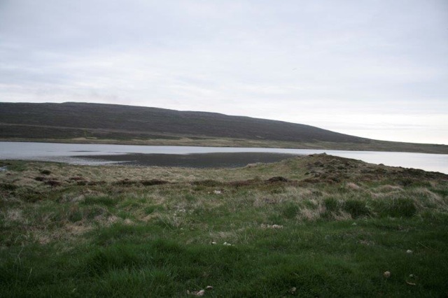 mundaveidi