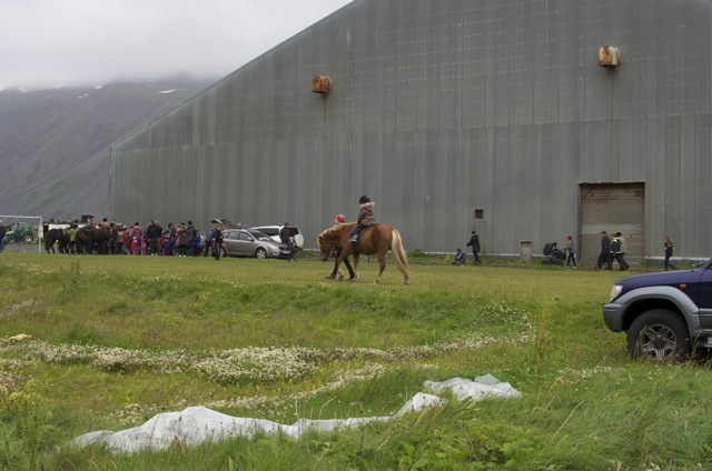 hestasport
