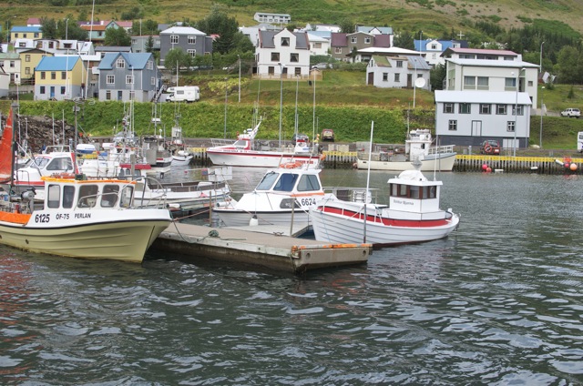 hofnin