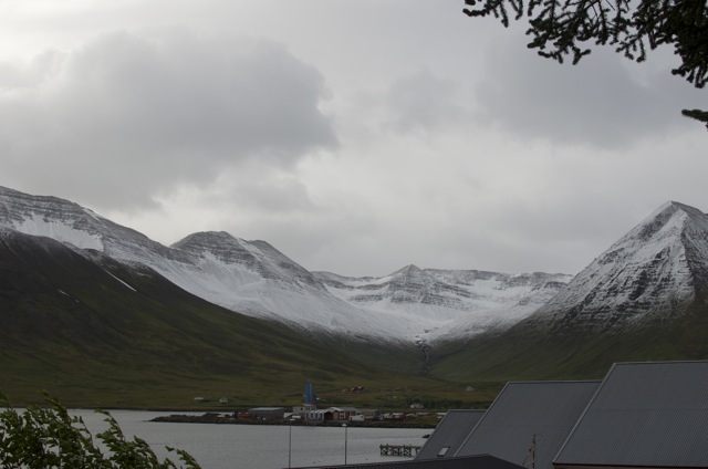 snjór