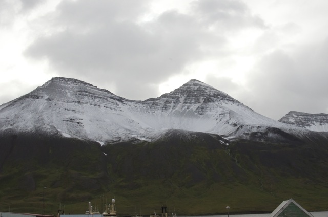 snjór