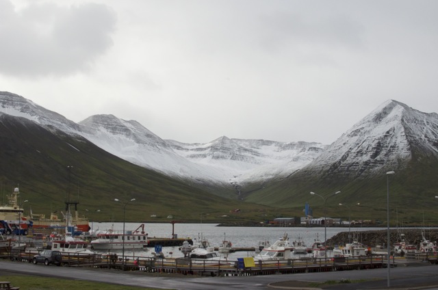 snjór