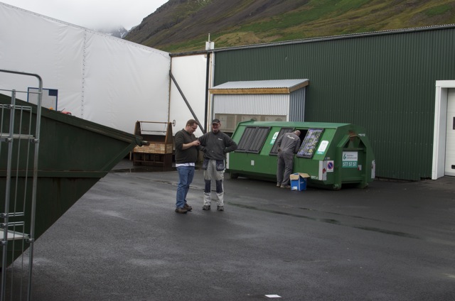 rauðka