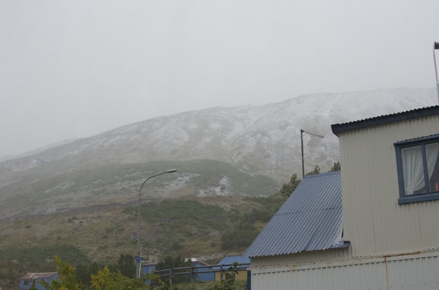 vetur
