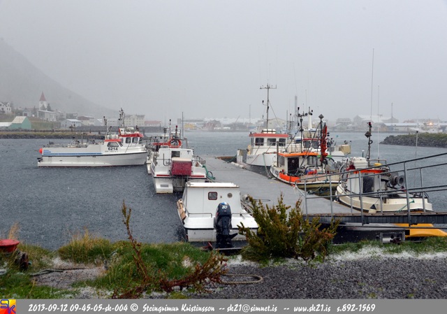 steingrímur