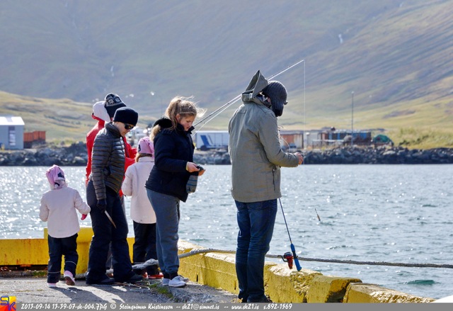 steingrímur