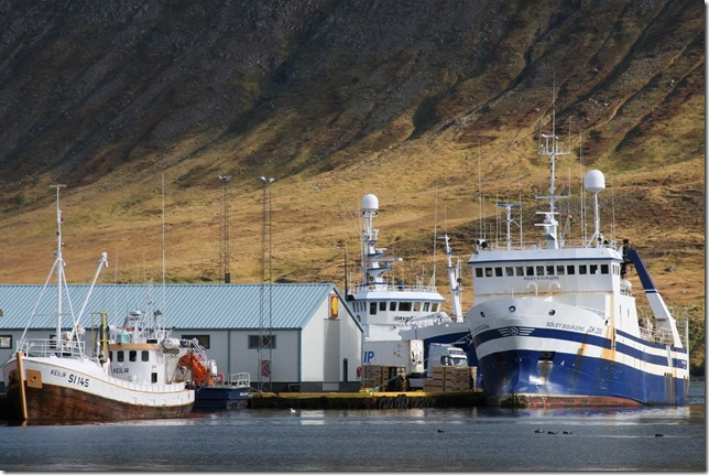 hreiðar jóhanns