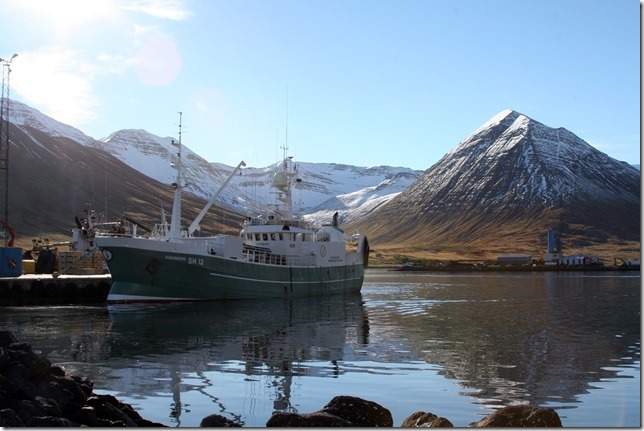 hreiðar jóhanns