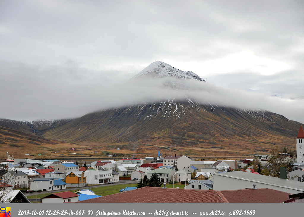 steingrímur