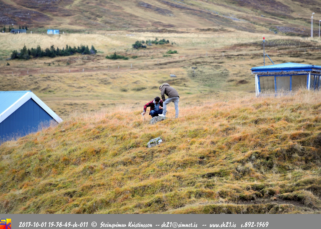 steingrímur