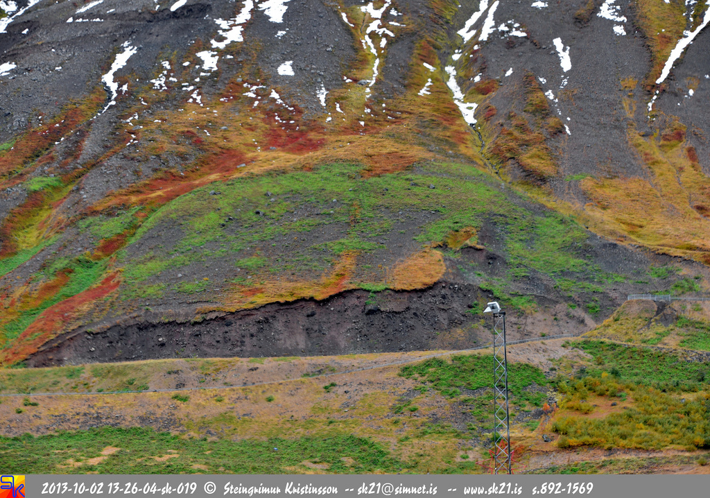 steingrímur