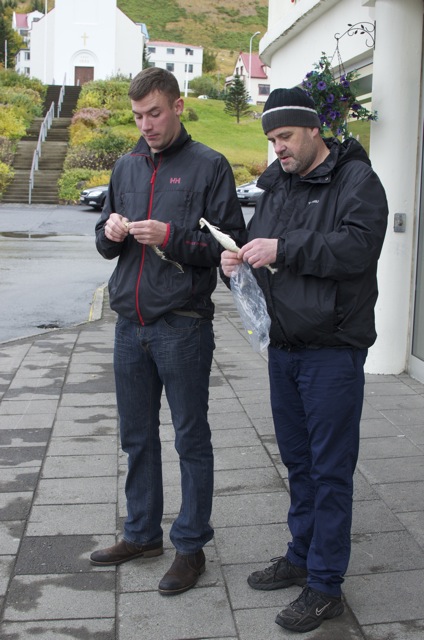 harðfiskur