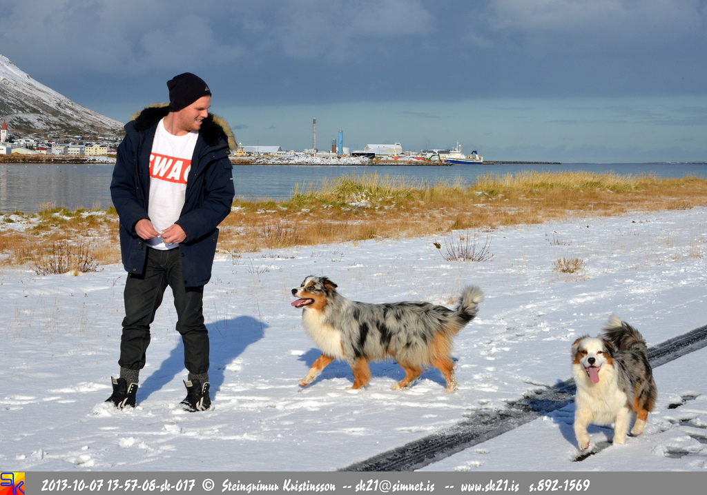 steingrímur
