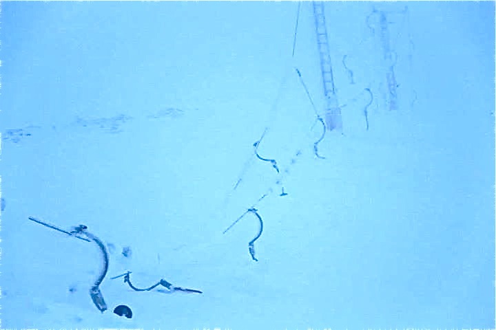 Egill