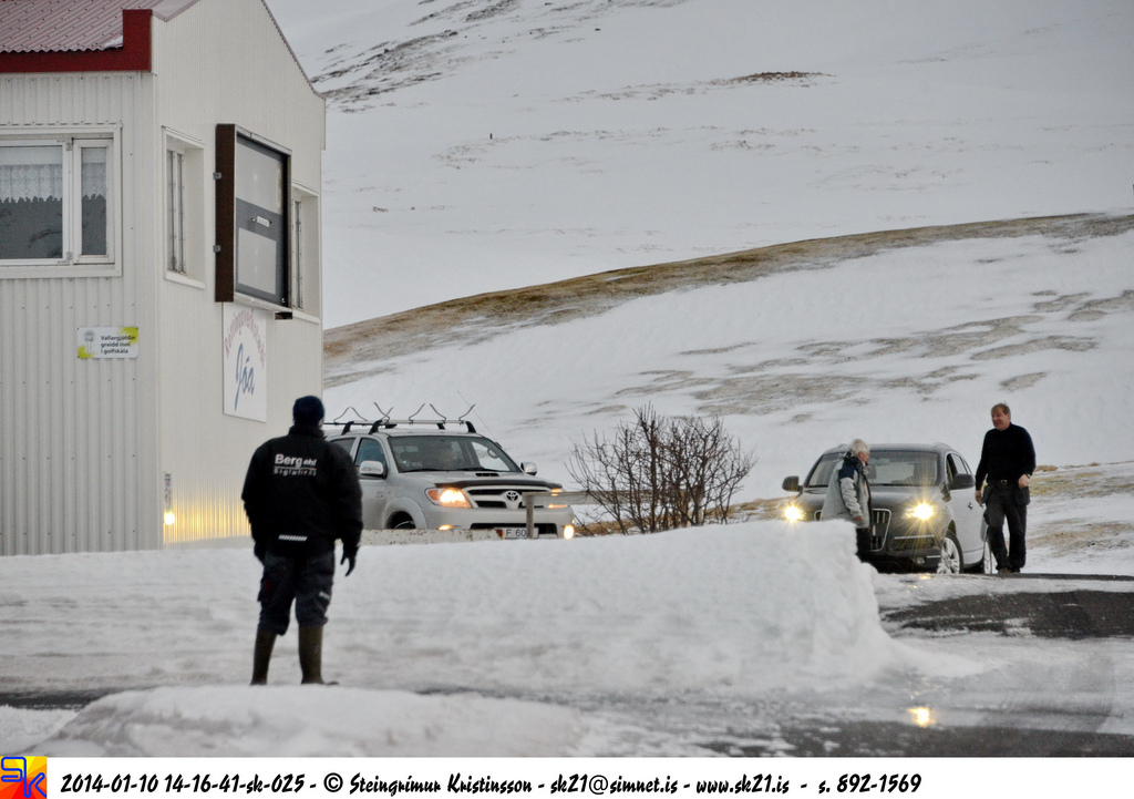 steingrímur