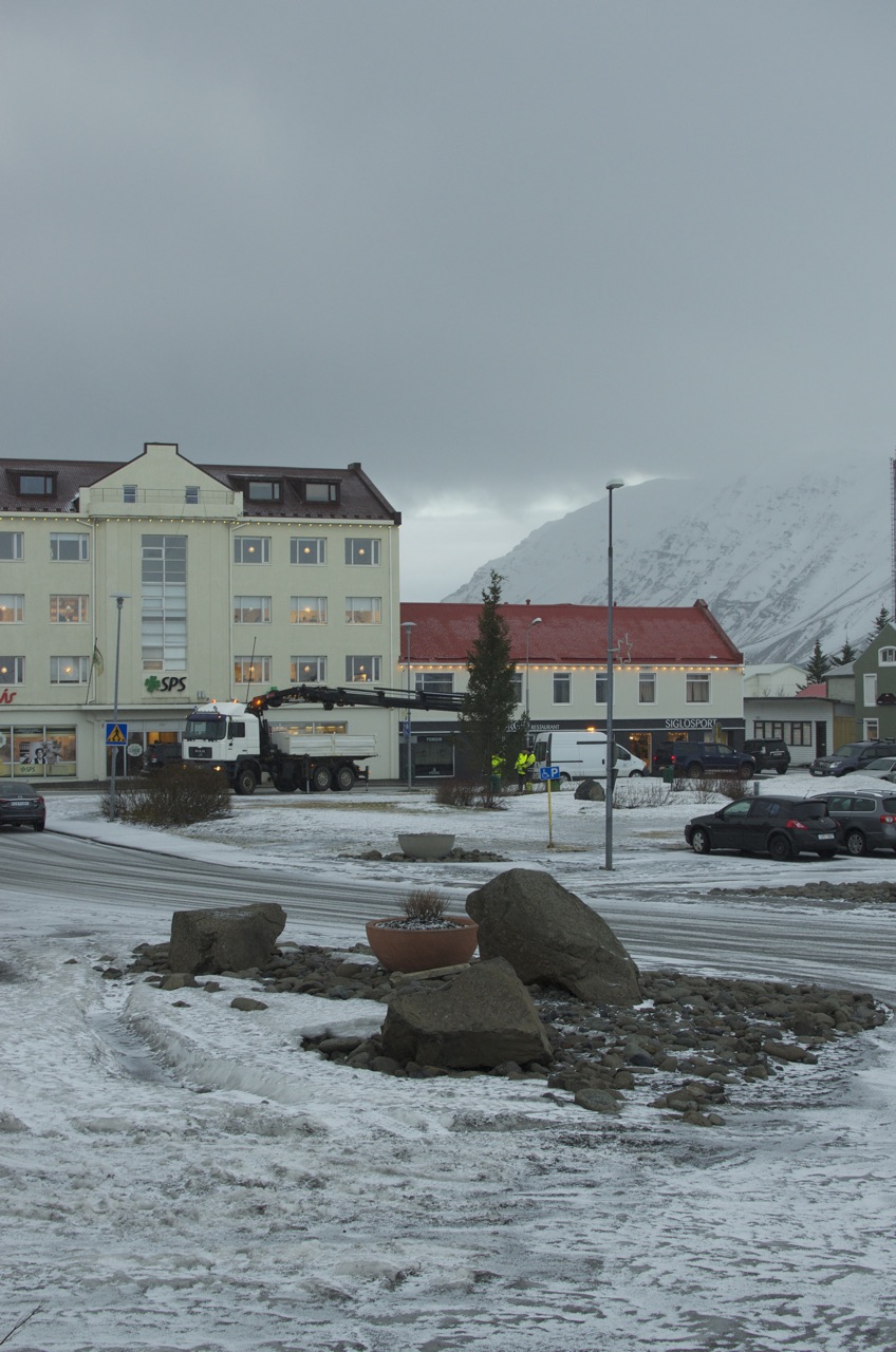 jólatréð