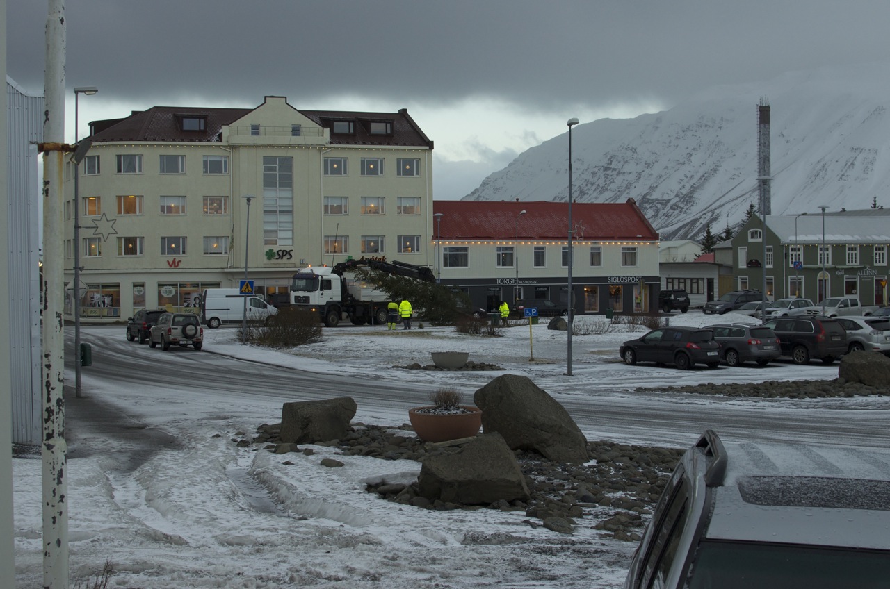 jólatréð