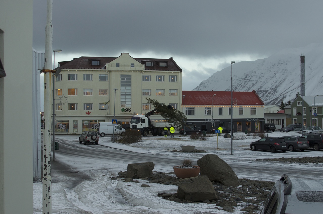 jólatréð
