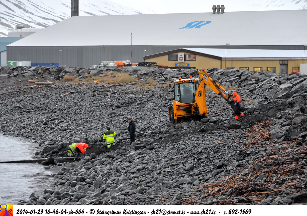 steingrímur