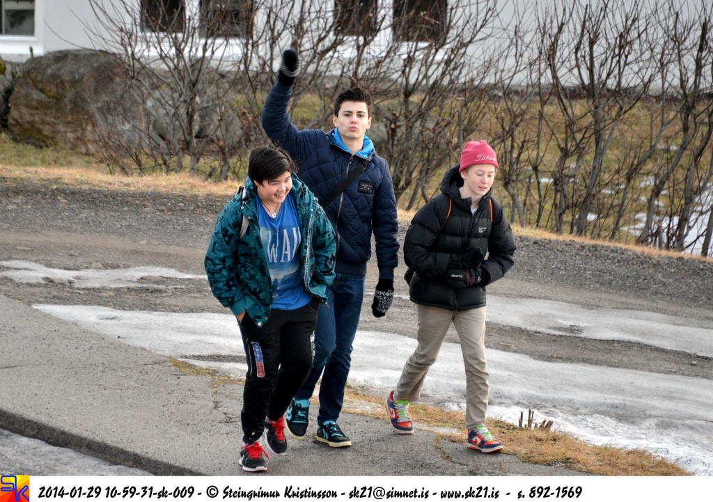 steingrímur
