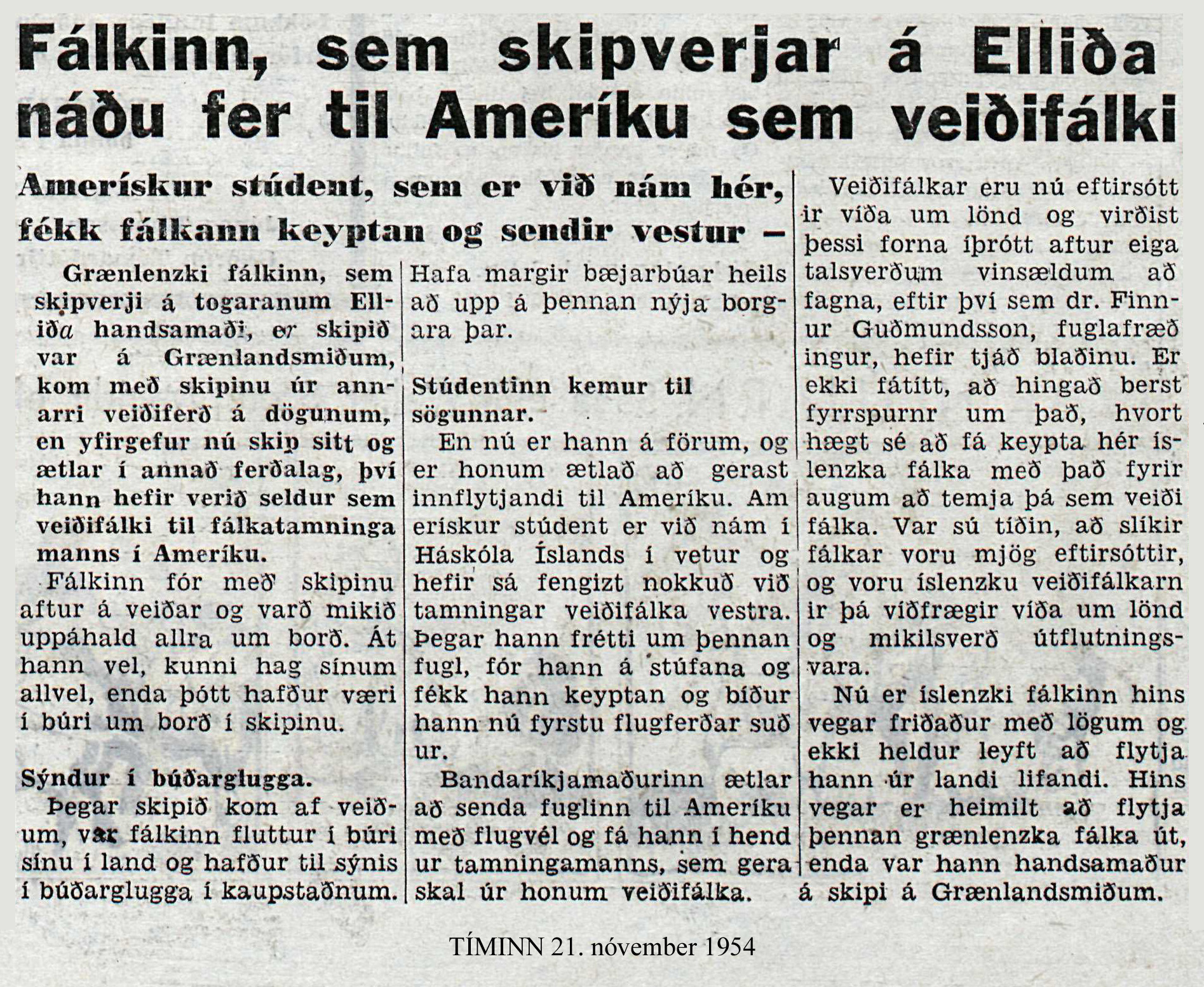 fálkinn