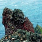 ljosmyndasamkeppni_087.jpg