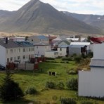 2010-09-04_10-29-06__sk__140.jpg