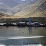 2010-09-04_10-42-07__sk__231.jpg
