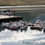 2010-09-04_10-44-35__sk__257.jpg