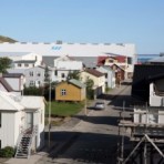 2010-09-04_10-55-23__sk__343.jpg