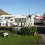 2010-09-04_10-59-34__sk__375.jpg