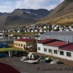 2010-09-04_10-59-45__sk__381.jpg