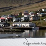 2010-09-04_11-00-51__sk__390.jpg