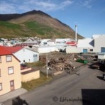 2010-09-04_11-08-18__sk__440.jpg