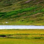 2009-07-20_13-55-18-sk_036.jpg