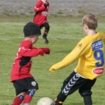 img_0079.jpg