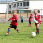 img_0194.jpg