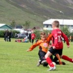 img_0214.jpg