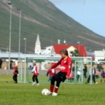 img_0219.jpg
