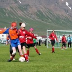 img_0222.jpg