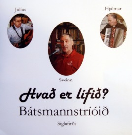 Hva er lfi?